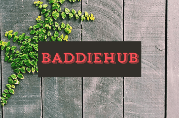 BaddieHub