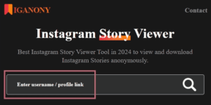 Can I download stories using IgAnony
