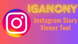 Features of IgAnony Story Viewer