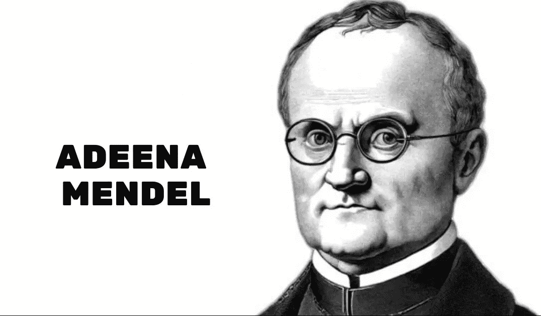 Adeena Mendel